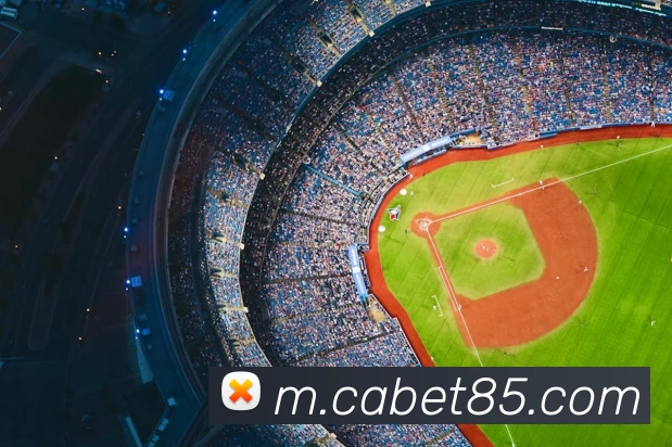 ca亚洲城APP 封面图